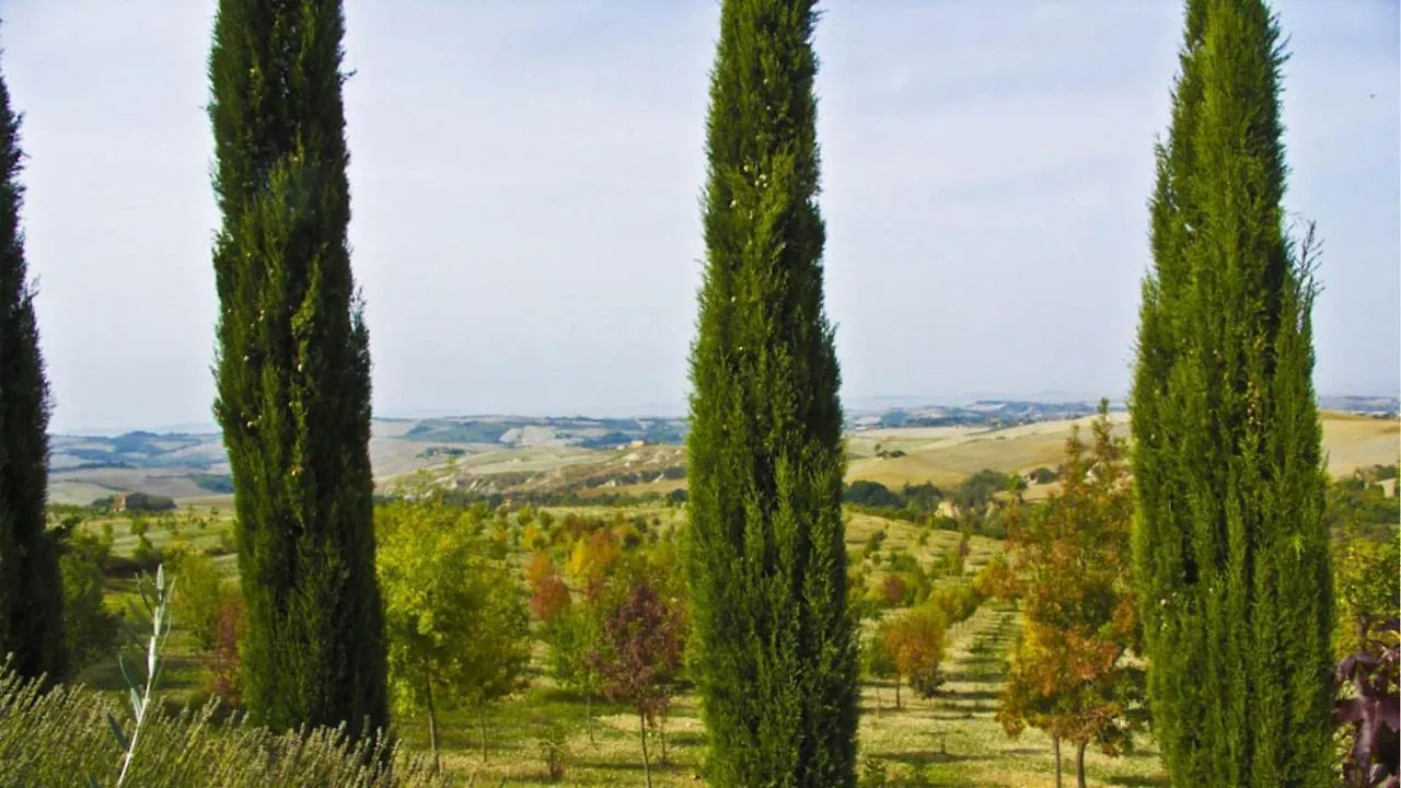 Aia Vecchia Villa Asciano 0*,